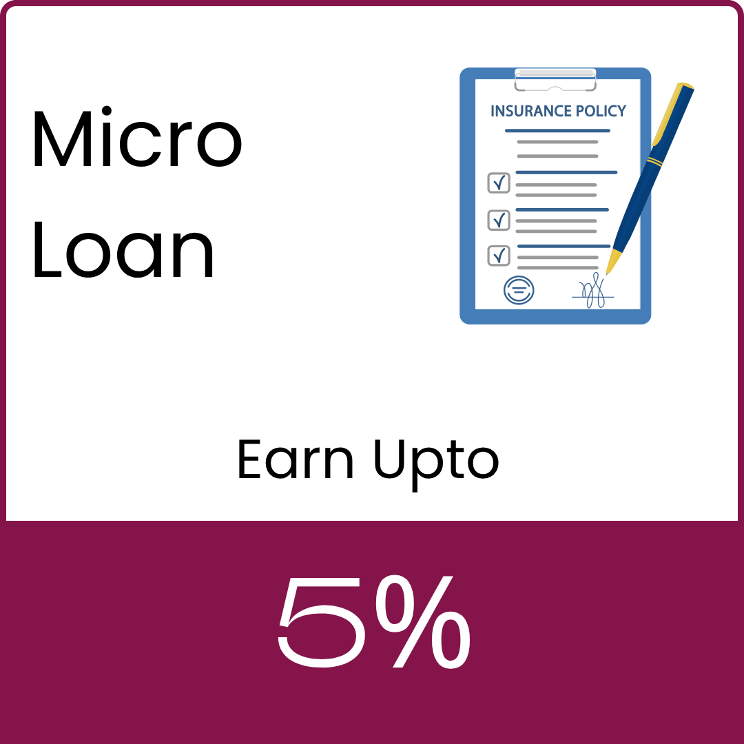 Micro Loan